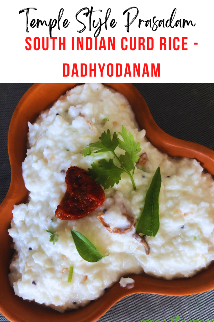 Temple Style Curd Rice or Daddodhajanam is a summer perfect meal, bursting with pro biotics and perfect for the gut. Tastes heavenly when eaten fresh or chilled, with a side of any South Indian pickle